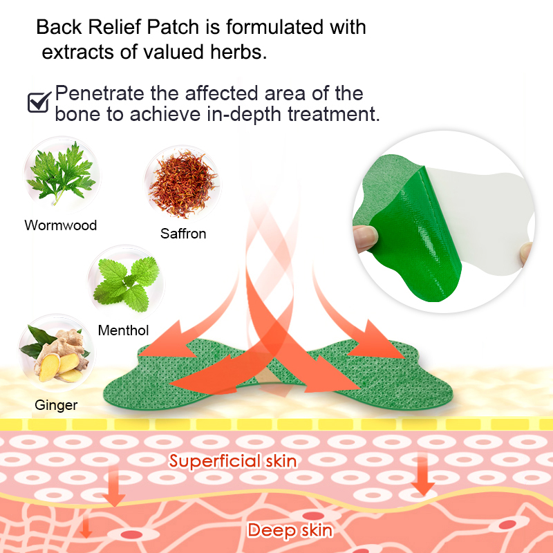 60/6 pçs remendo de dor lombar - Herbal Wellness Patches avaliação e preço